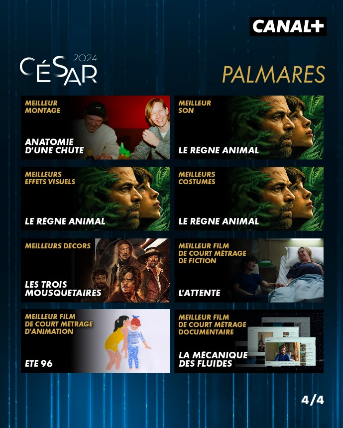 cesar 2024 01