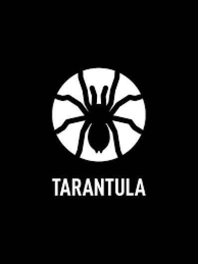 Tarantula Belgique