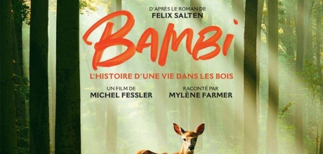 bambi