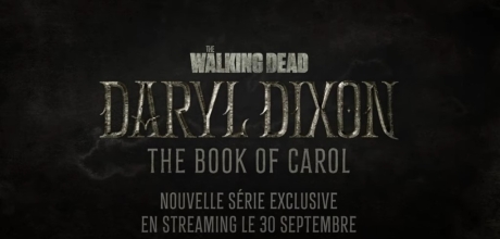 walking dead book 