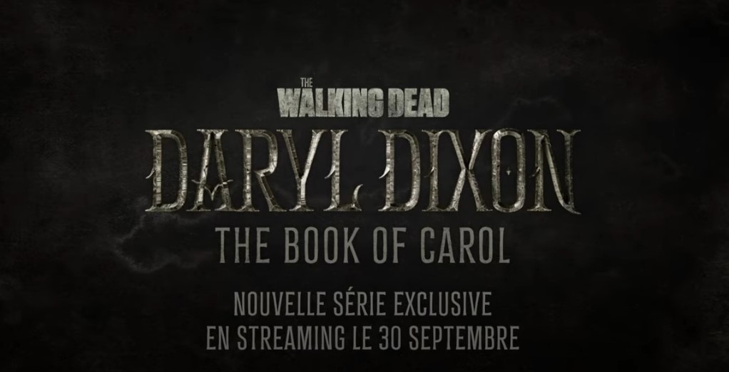 walking dead book